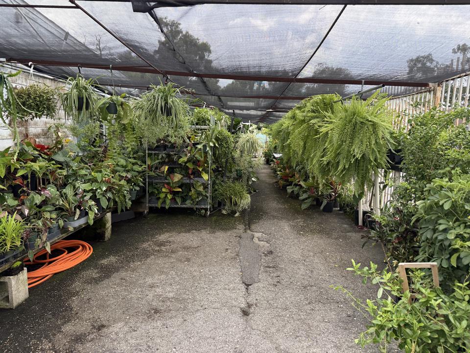 City Oasis Orchids & Bonsai, photo 2