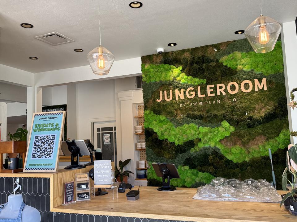 Jungle Room by BWH Plant Co.