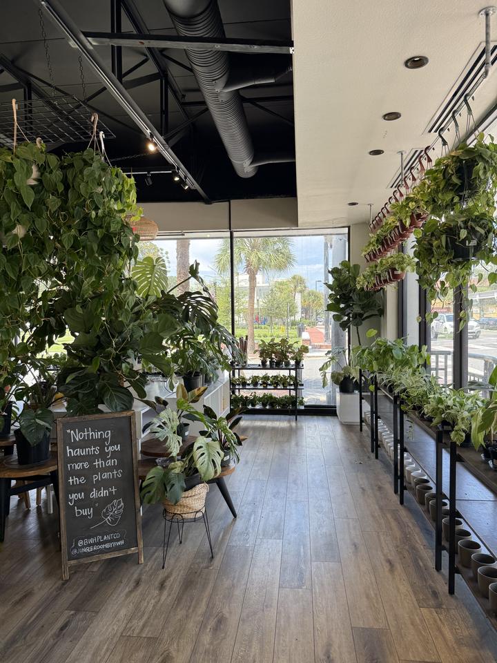 Jungle Room by BWH Plant Co., photo 2