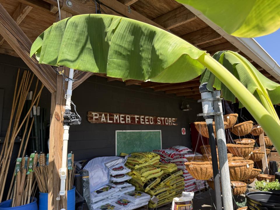 Palmer’s Feed & Seed, photo 2